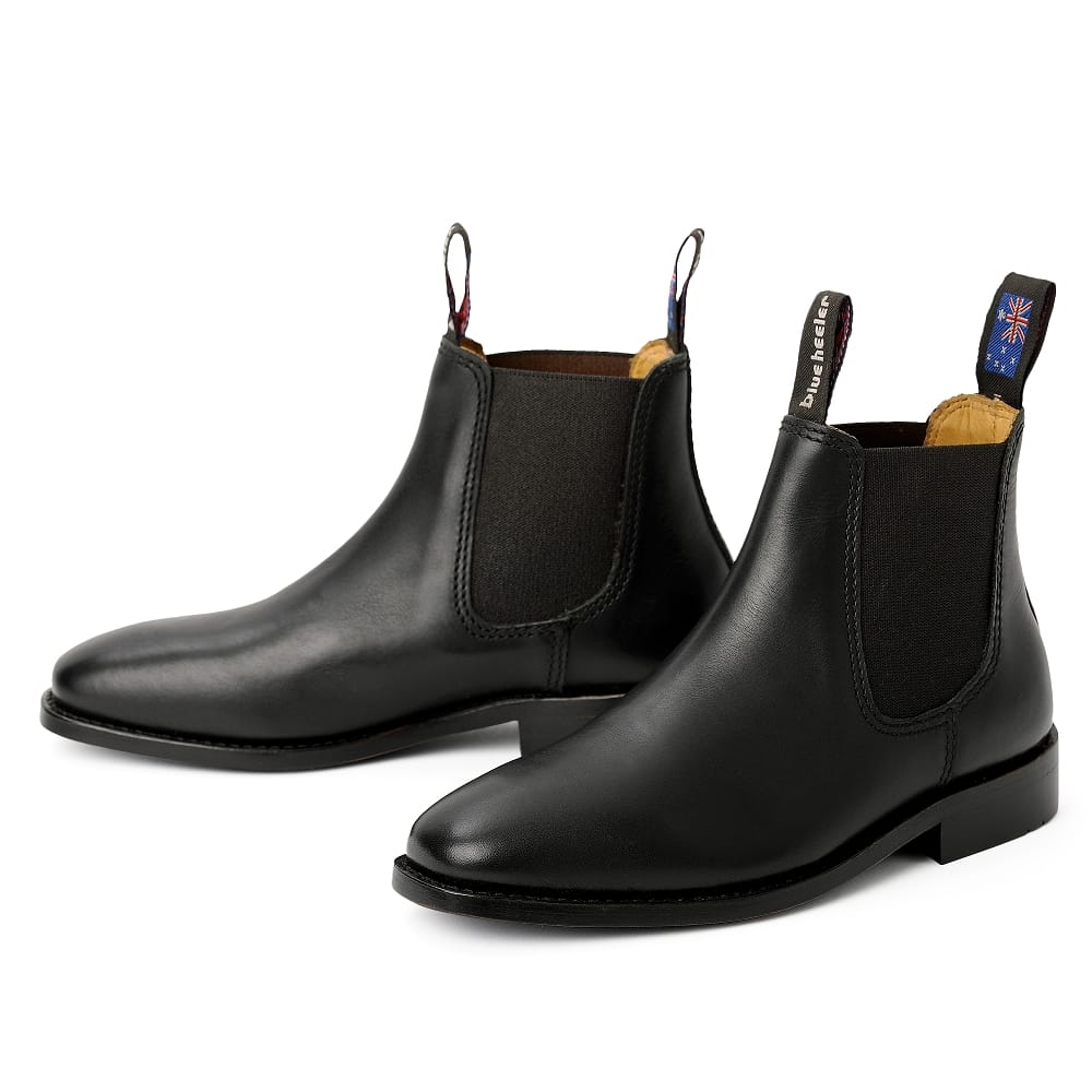 blue heeler chelsea boots